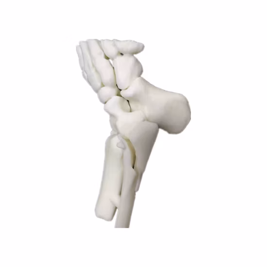 UV LCD Resin Curing 3D Printer Printing Machine for Curing Model Machine Goofoo Rays